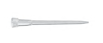 德國艾本德(Eppendorf)epT.I.P.S.? LoRetention Reloads, Eppendorf Quality?優(yōu)質(zhì)級, 0.5 – 20 μL L, 46 mm, 淺灰色, 天